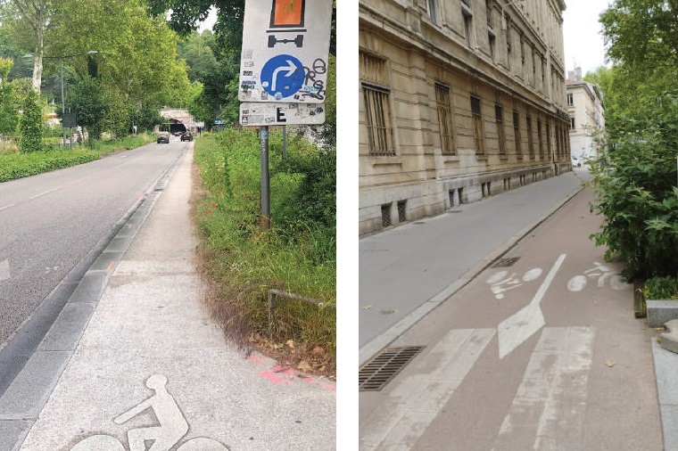 Illustrations de végétation envahissante sur aménagement cyclable